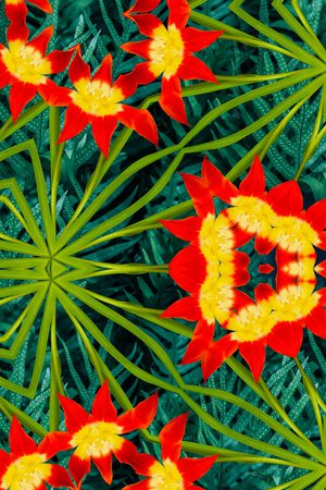 植物印花华亿平台图片