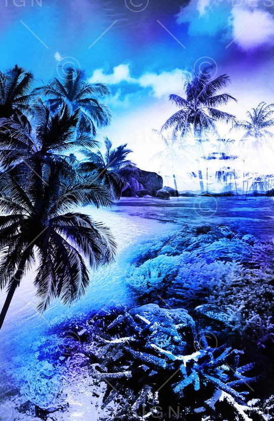 热带风景印花华亿平台图片