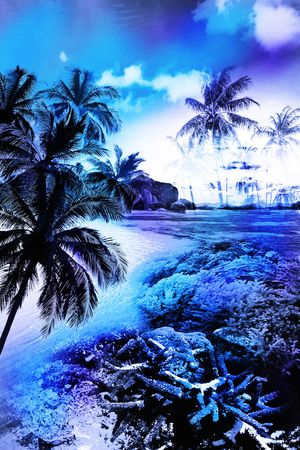 热带风景印花华亿平台图片