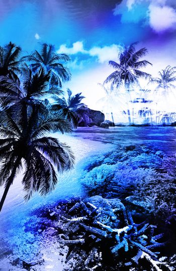 914315-椰树海底世界泳衣风景-leyer