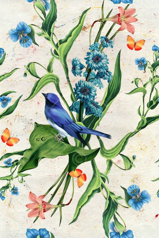 鸟印花华亿平台图片