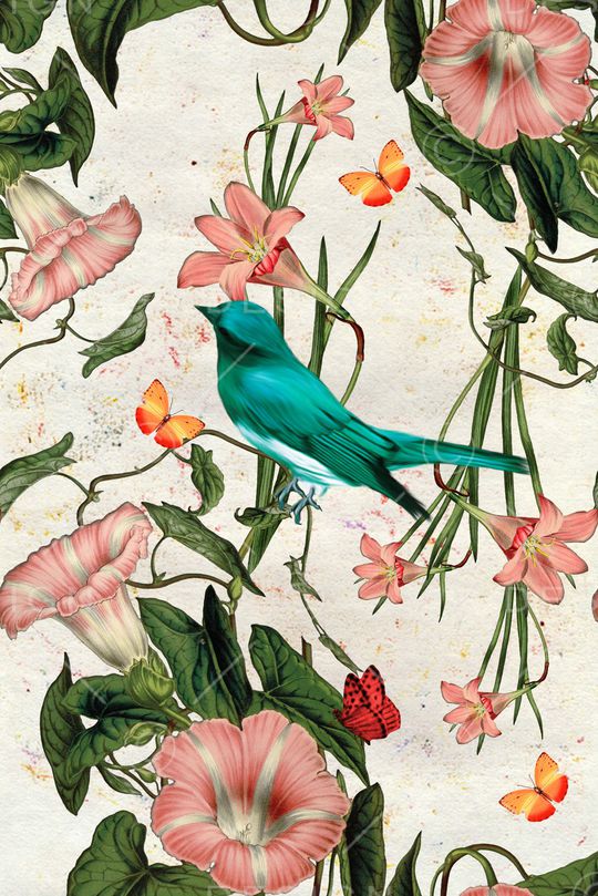 鸟印花华亿平台图片