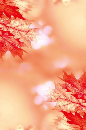 枫叶印花华亿平台图片