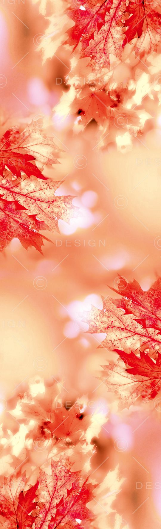 枫叶印花华亿平台图片