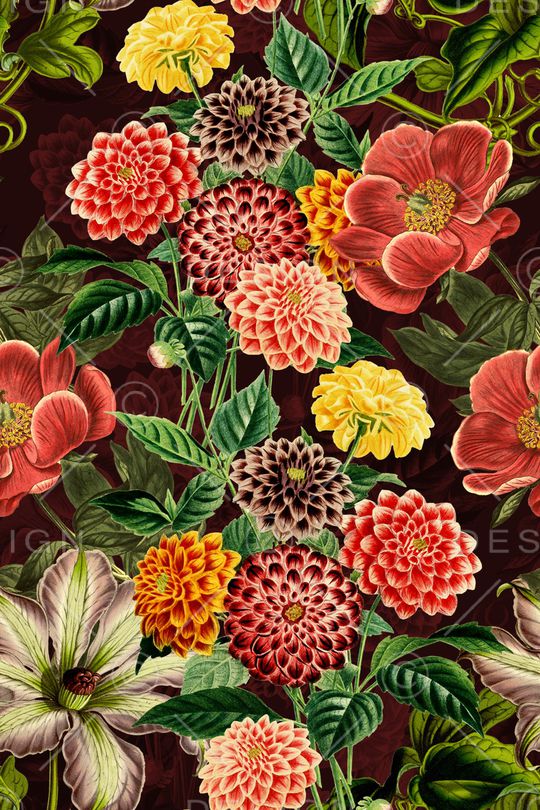 中老年印花华亿平台图片