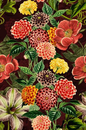 中老年印花华亿平台图片