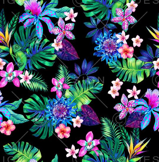 蜥蜴印花华亿平台图片