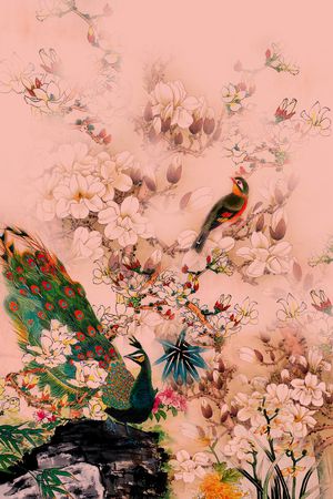 孔雀印花华亿平台图片