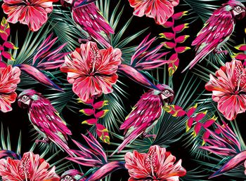 鸟印花华亿平台图片