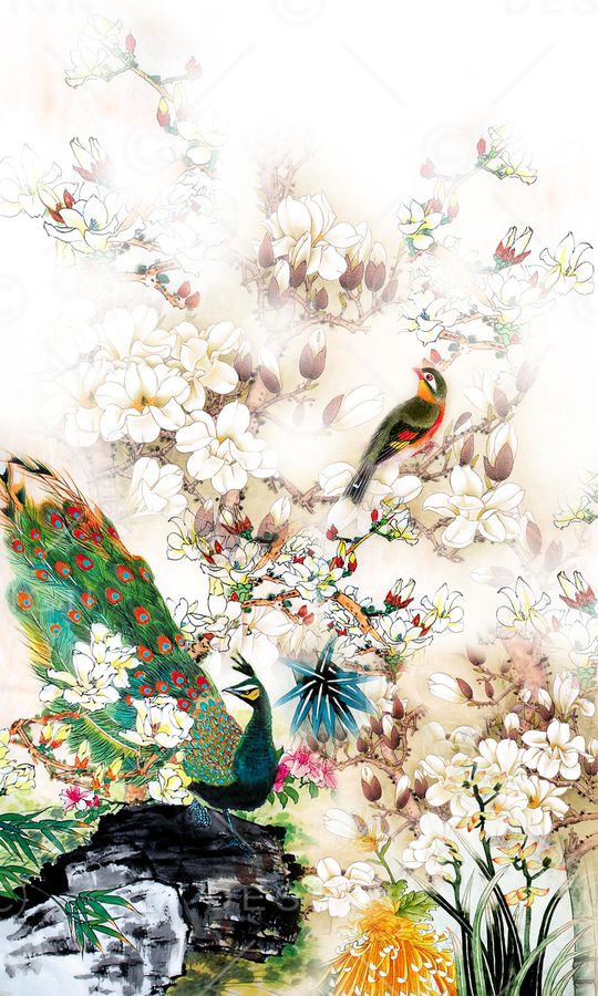 孔雀印花华亿平台图片