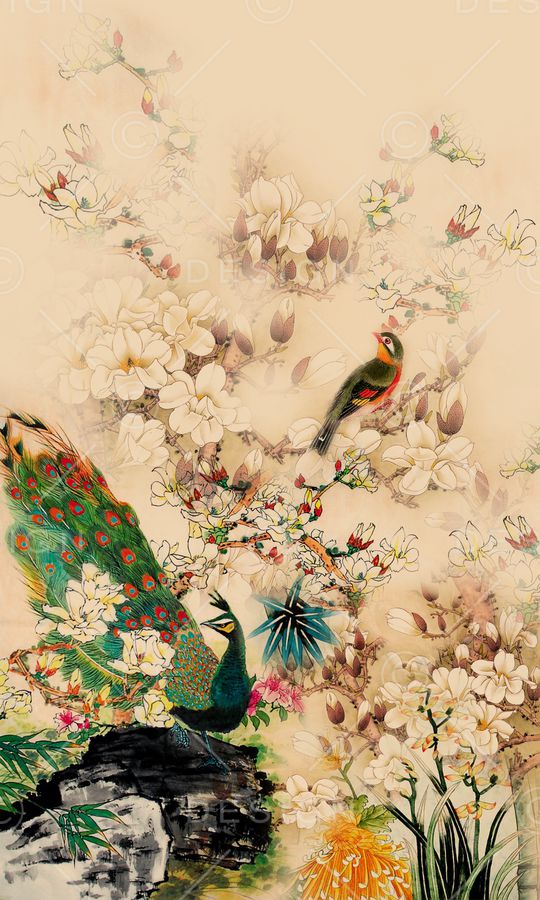 孔雀印花华亿平台图片