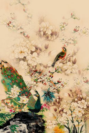 孔雀印花华亿平台图片