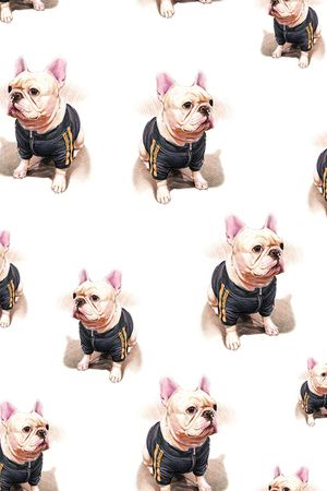 狗印花华亿平台图片