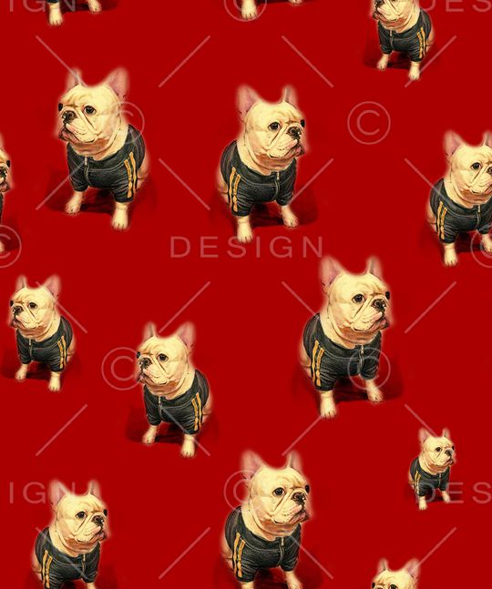 狗印花华亿平台图片