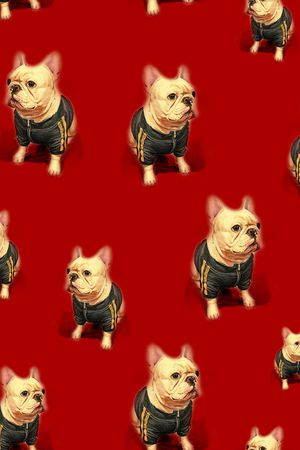 狗印花华亿平台图片