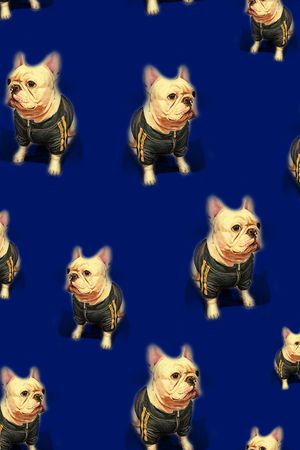 狗印花华亿平台图片