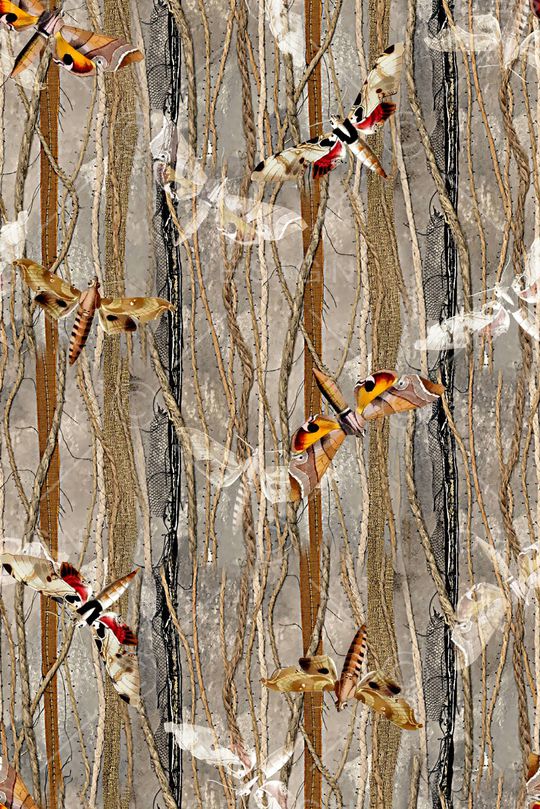 昆虫印花华亿平台图片