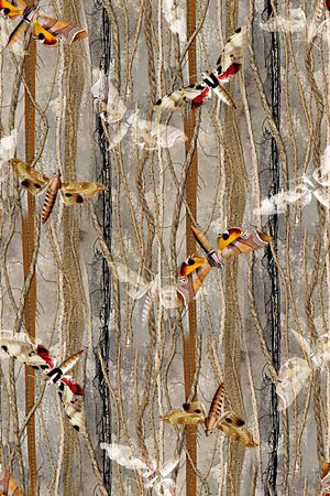 昆虫印花华亿平台图片