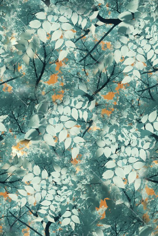 树林印花华亿平台图片