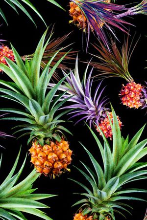 创意印花华亿平台图片