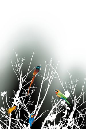 鸟印花华亿平台图片