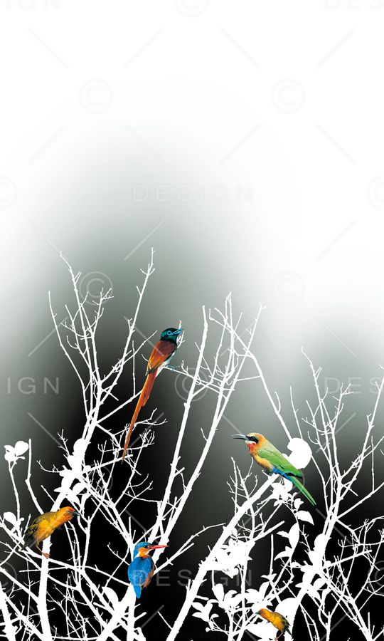 鸟印花华亿平台图片