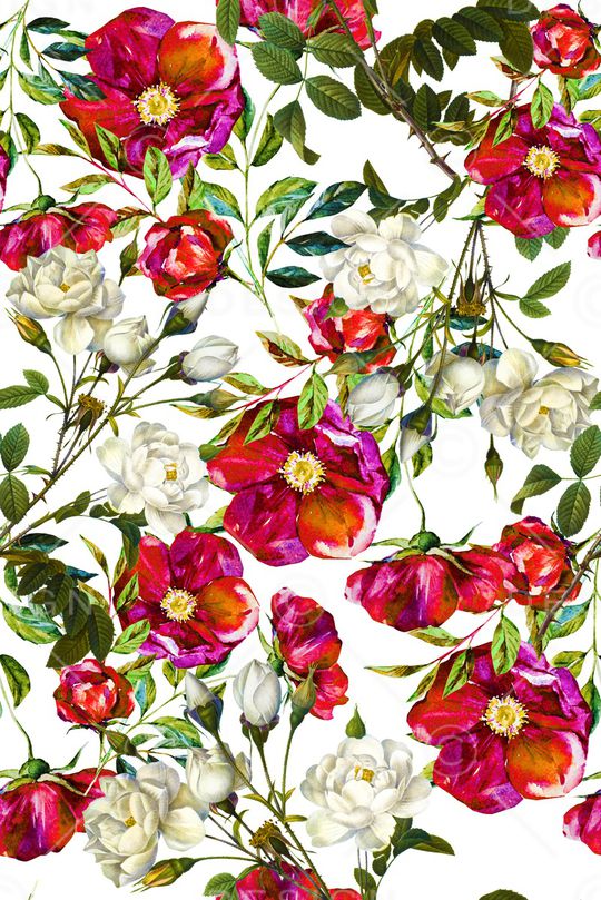 植物印花华亿平台图片