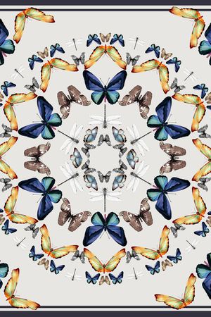 蝴蝶印花华亿平台图片