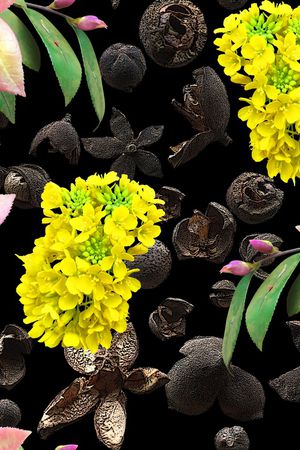 创意印花华亿平台图片