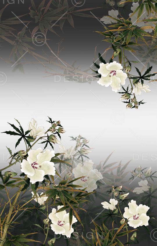 女装印花华亿平台图片