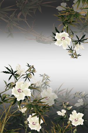 女装印花华亿平台图片