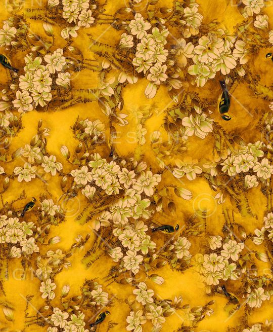 玉兰花印花华亿平台图片