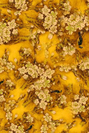 玉兰花印花华亿平台图片