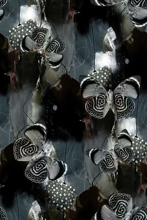 蝴蝶印花华亿平台图片