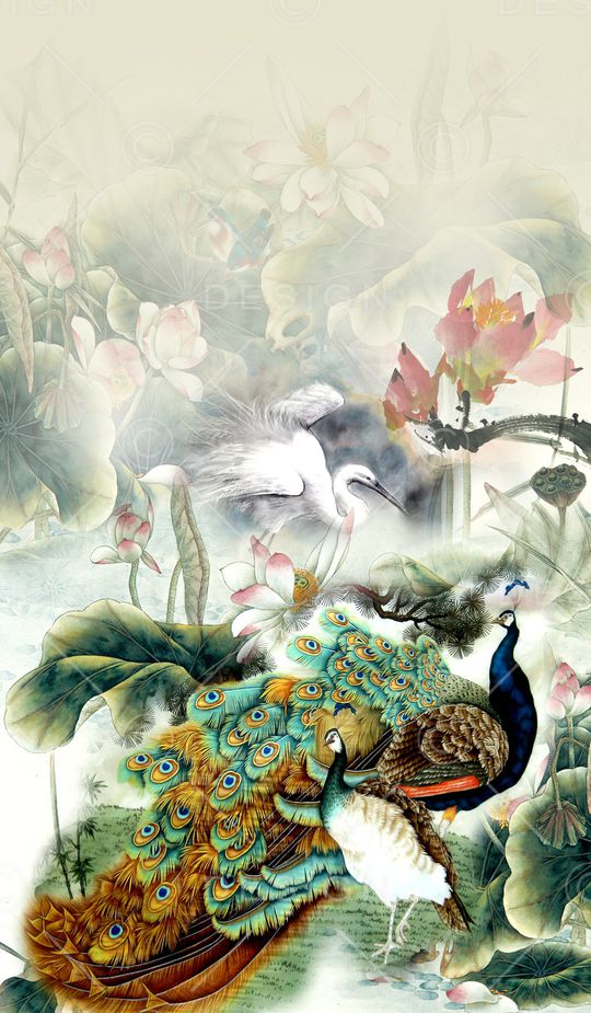 孔雀印花华亿平台图片