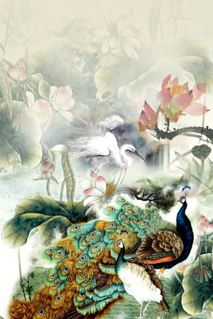 孔雀印花华亿平台图片