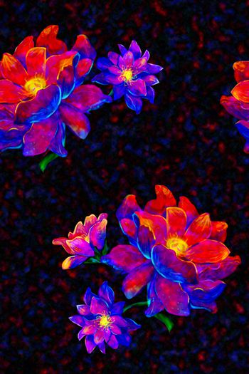 大花印花华亿平台图片