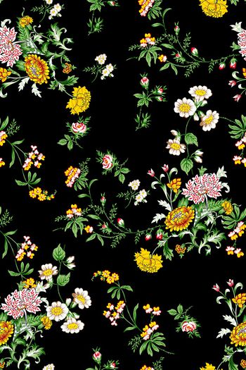 921736-抽象植物17081277