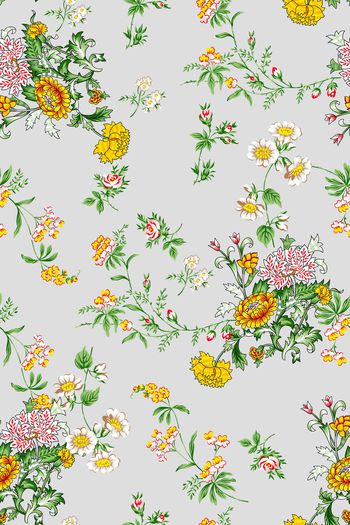 921737-抽象植物17081277b