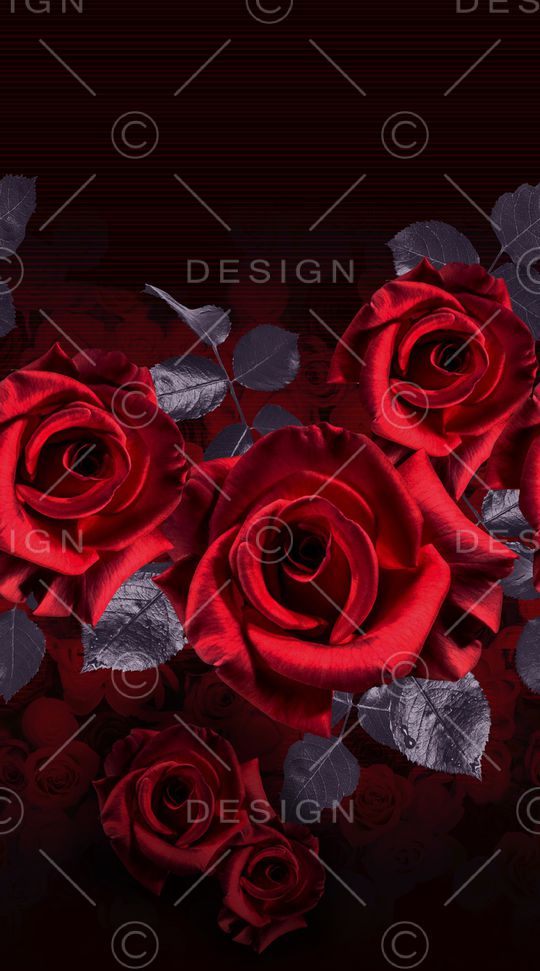 黑底花卉印花华亿平台图片