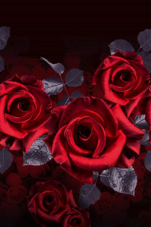 黑底花卉印花华亿平台图片