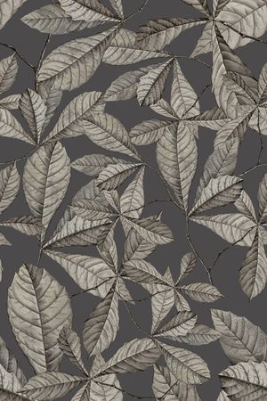 植物印花华亿平台图片