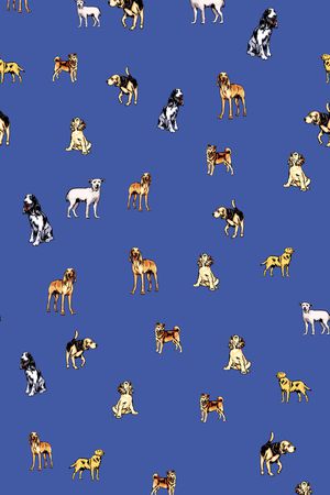 动物印花华亿平台图片