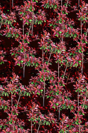 植物印花华亿平台图片