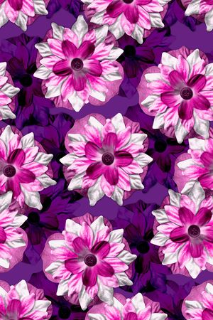 女装印花华亿平台图片