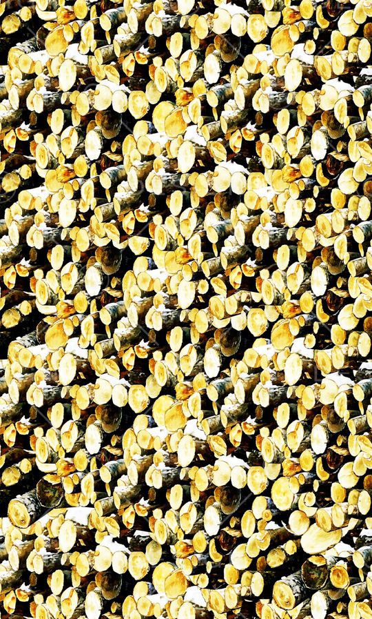 植物印花华亿平台图片