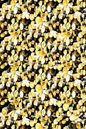 植物印花华亿平台图片