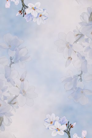 玉兰花印花华亿平台图片