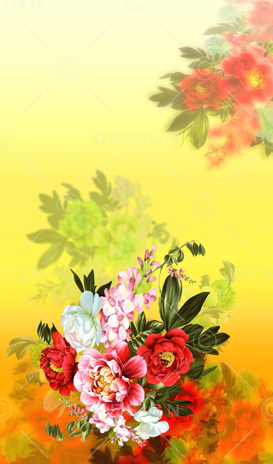 女装印花华亿平台图片