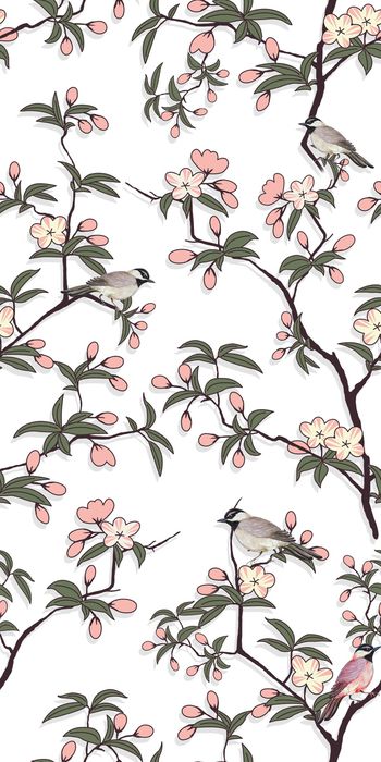 女装印花华亿平台图片